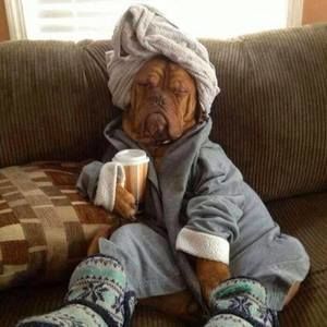 Meet your Posher, Jason